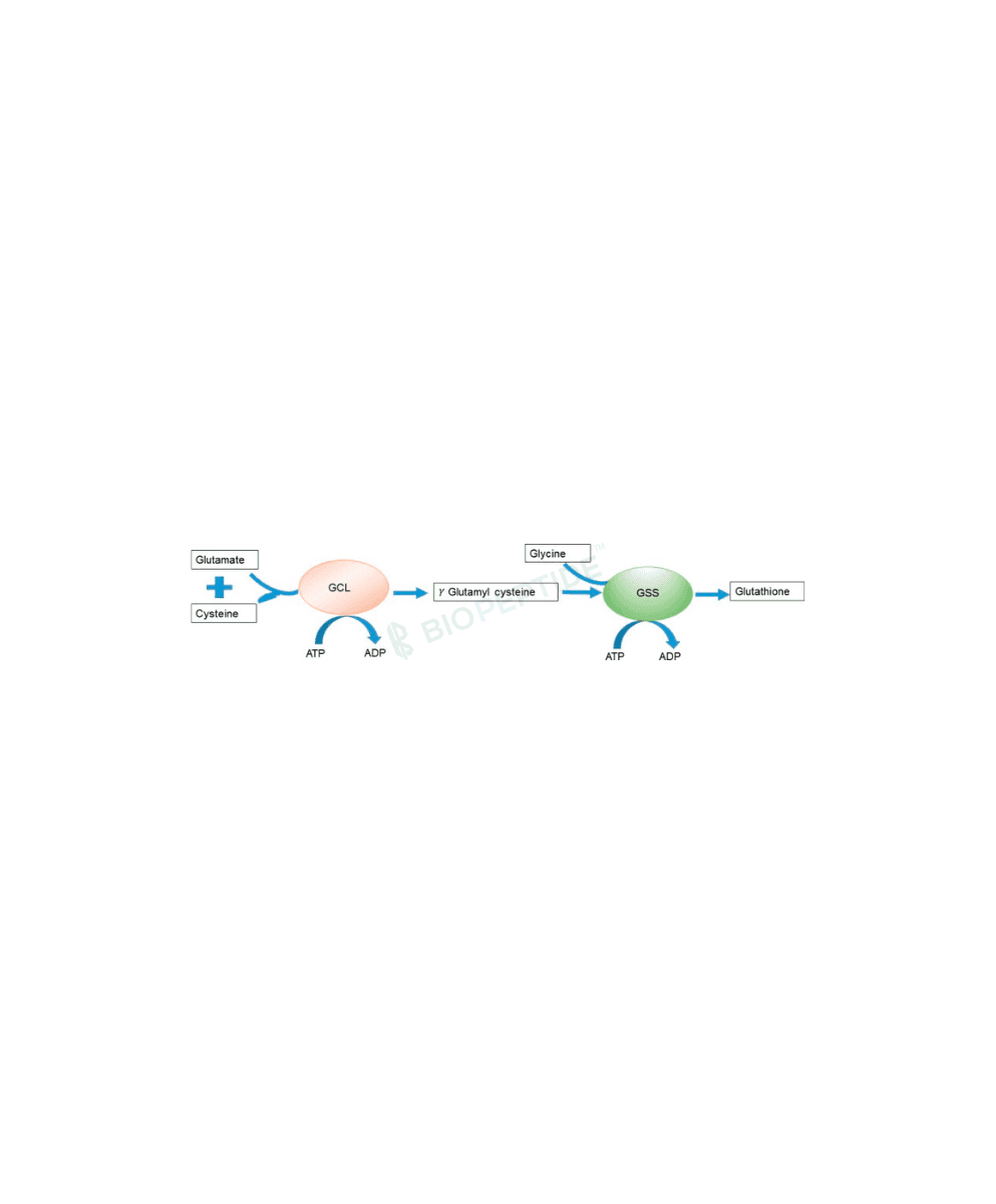 L-Glutathione 600mg image 1