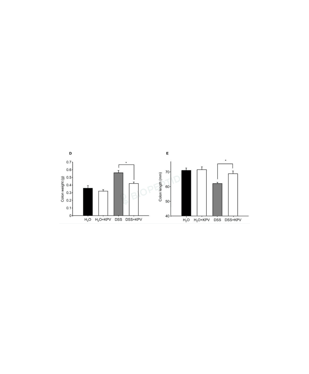 KPV 5mg image 3