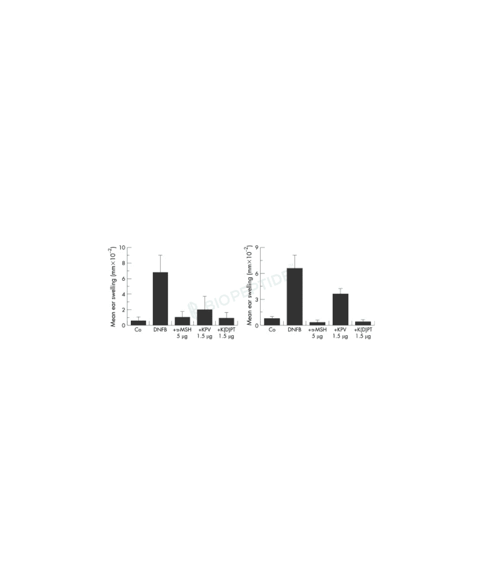 KPV 5mg image 4