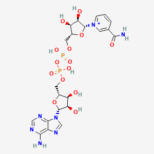 NAD⁺ (β-Nicotinamide Adenine Dinucleotide) 100mg image 1