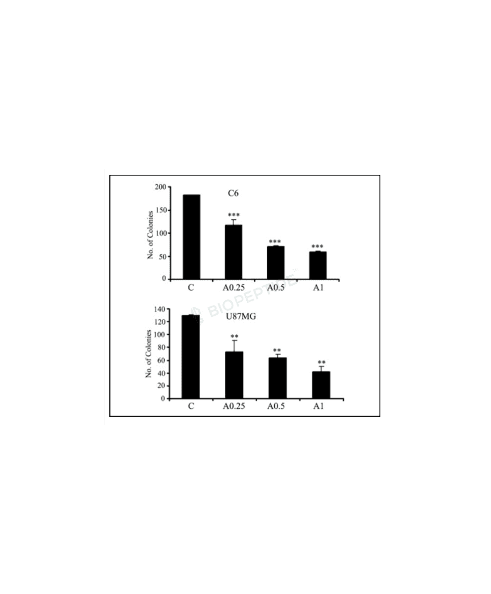 AICAR 50mg image 2