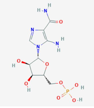 AICAR 50mg image 1
