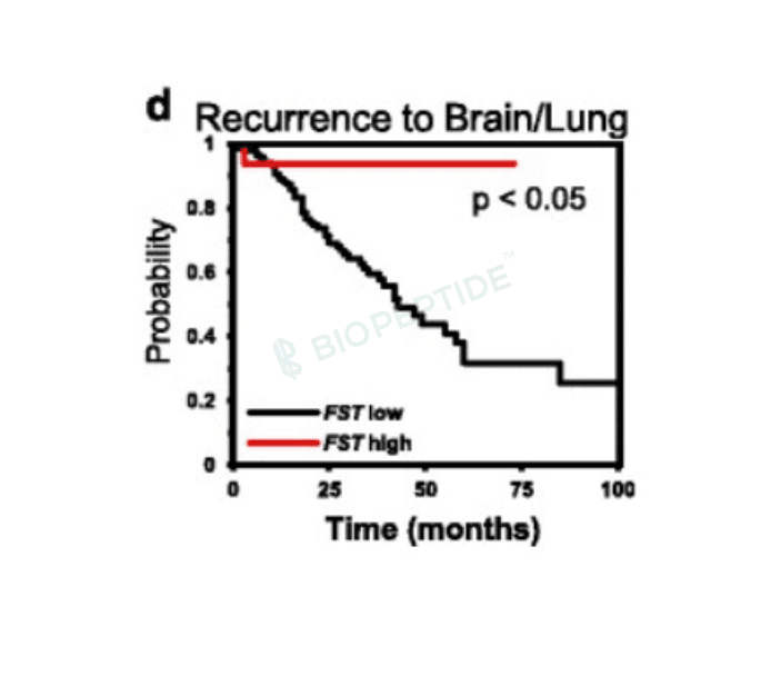 Follistatin-344 1mg image 4