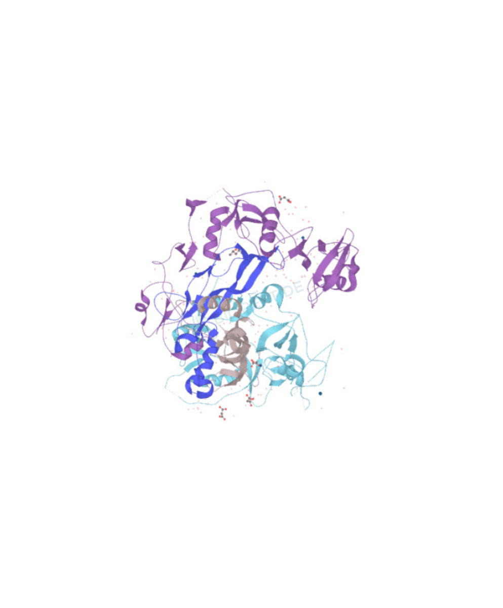 Follistatin-344 1mg image 1