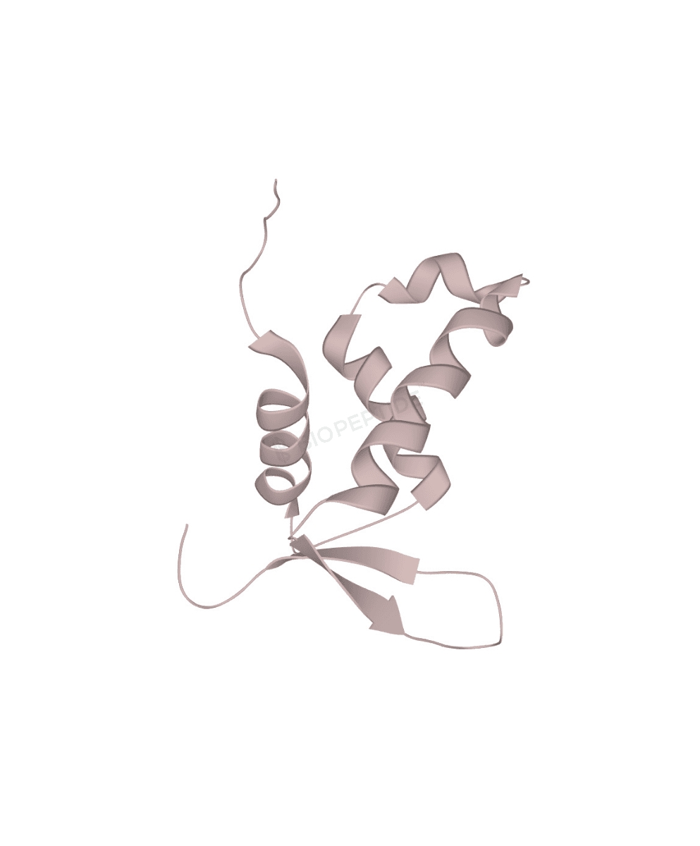 FOXO4-DRI (Proxofim) 10mg image 2
