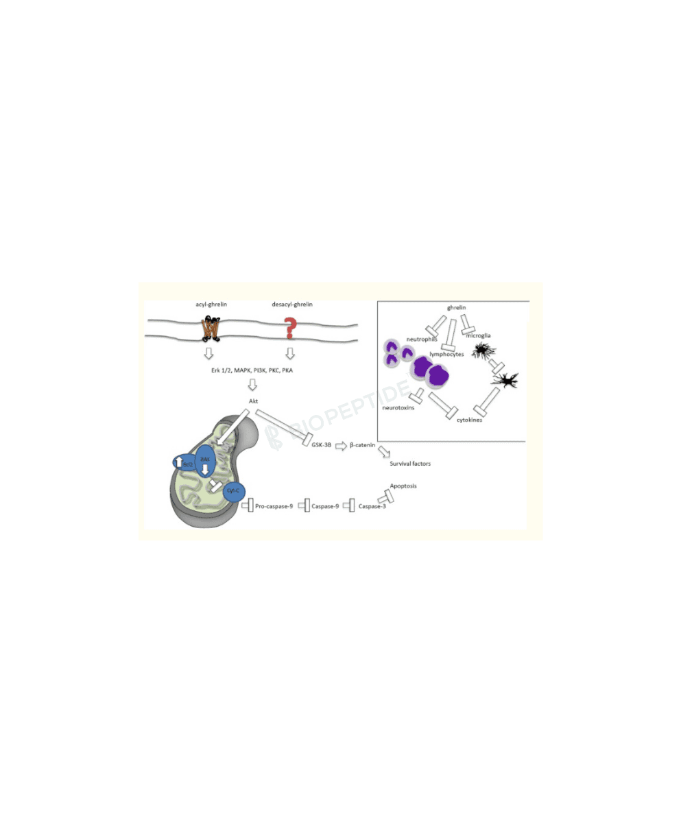 GHRP-6 10mg image 2