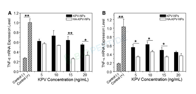 KPV 5mg image 2