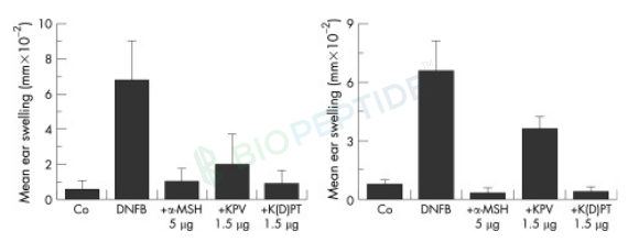 KPV 5mg image 4