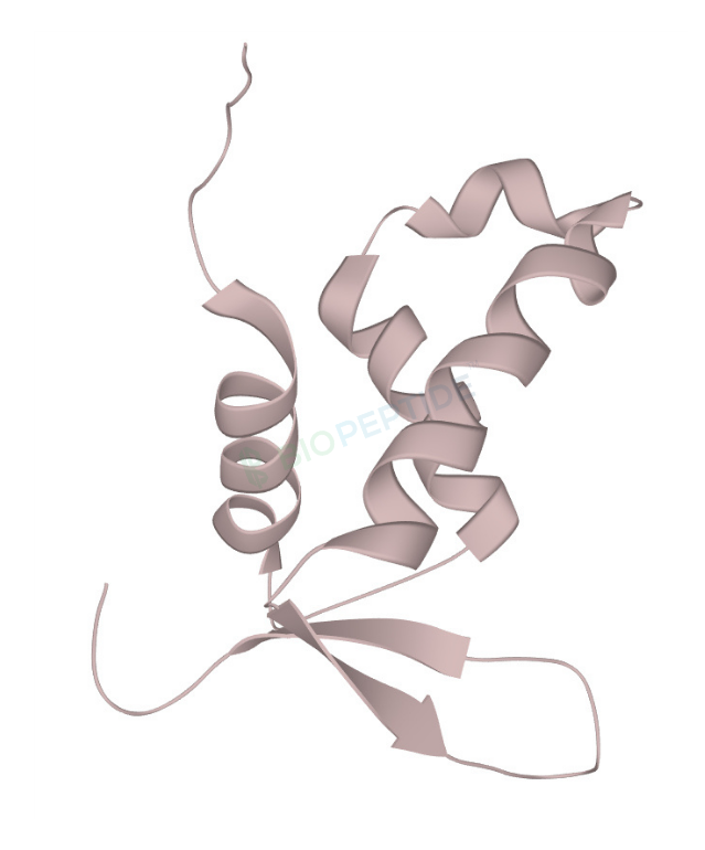 FOXO4-DRI (Proxofim) 10mg image 2